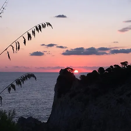 L'olla Semesterbostad Cala Ratjada (Mallorca)