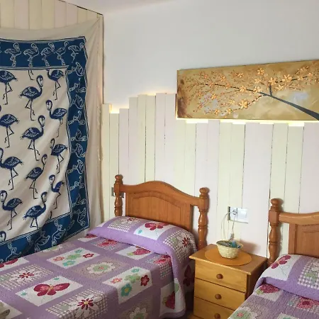 L'olla Cala Ratjada (Mallorca)